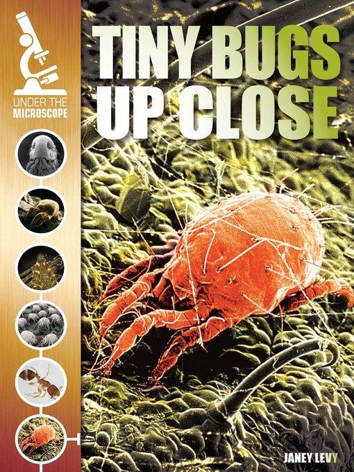 Title details for Tiny Bugs Up Close by Janey Levy - Available